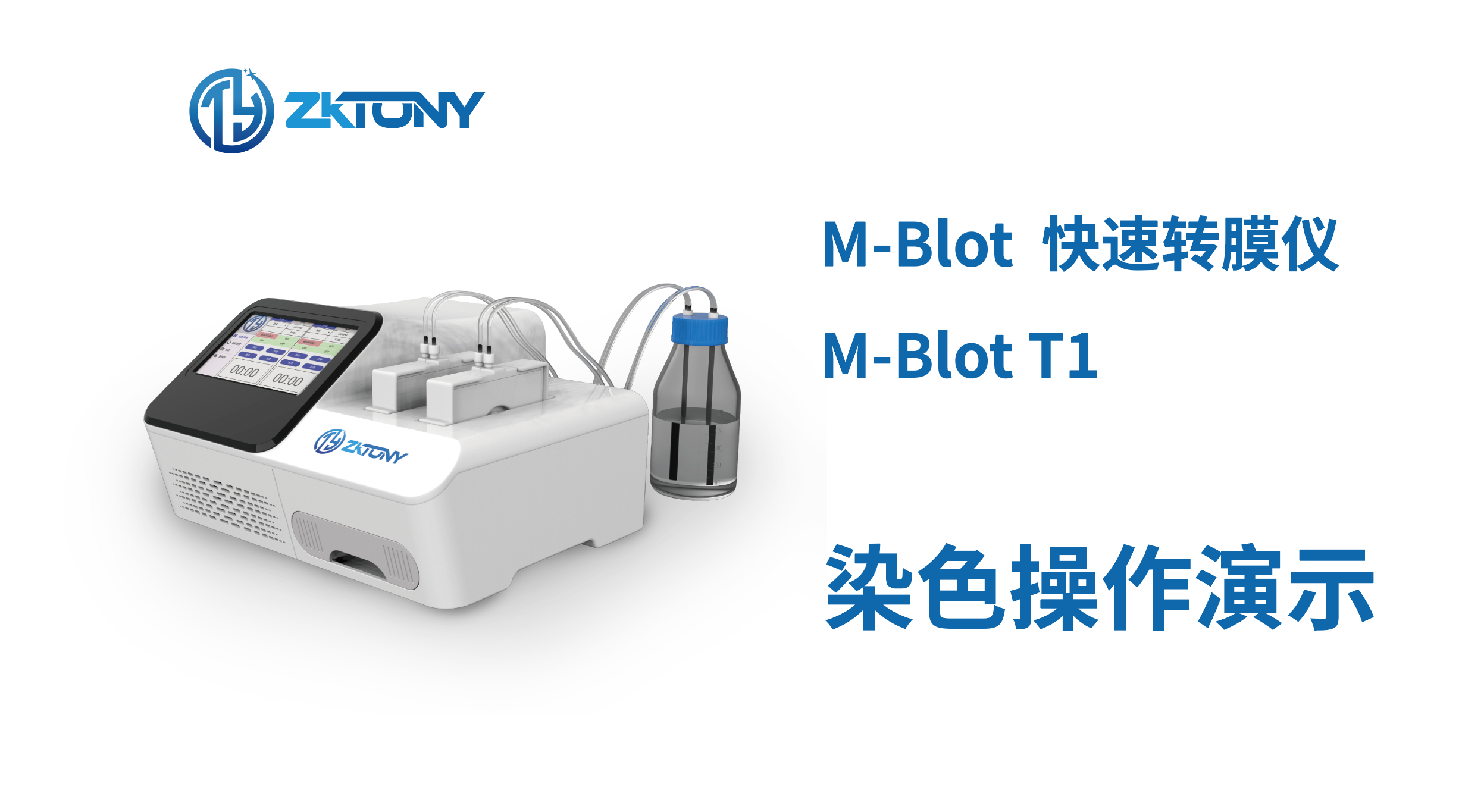 M-BLOT快速转膜仪染色操作指南