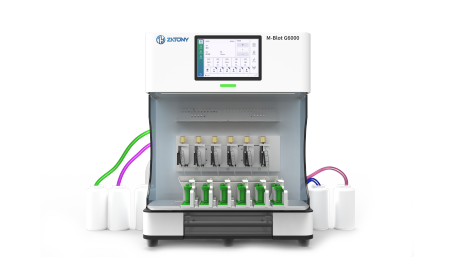 M-Blot G6000 高通量全能制胶仪