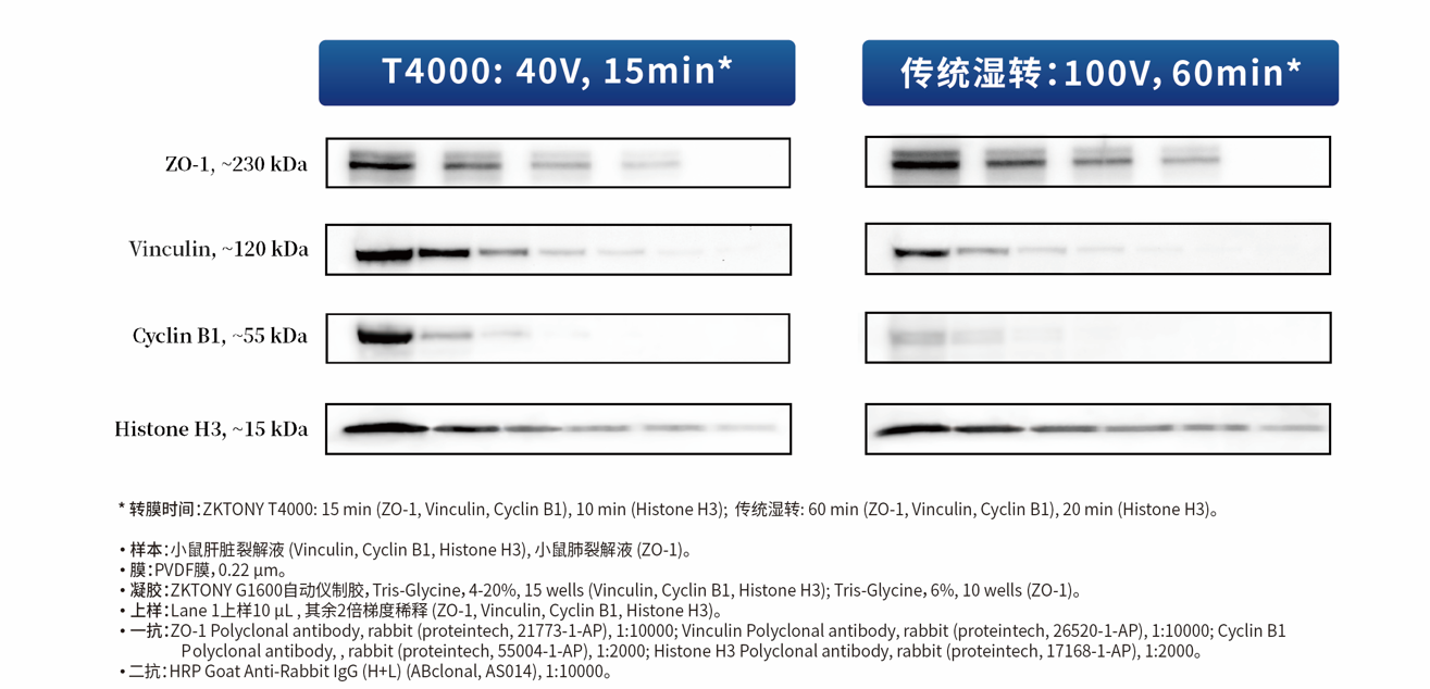 T4000页面.png
