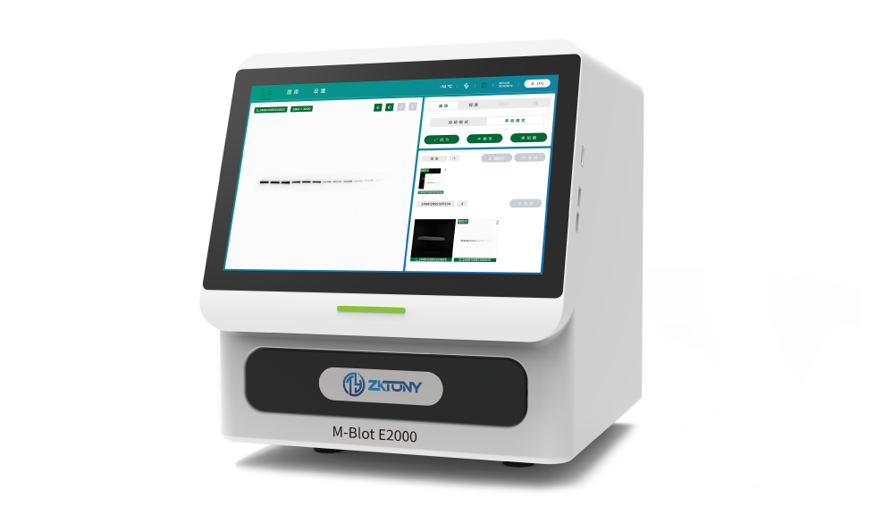 M-Blot化学发光成像仪